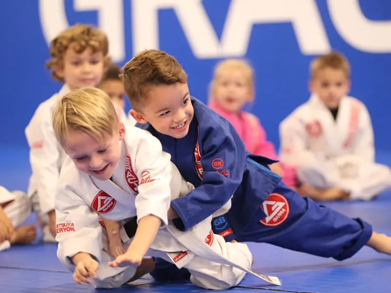 Main image of Gracie Barra Stittsville